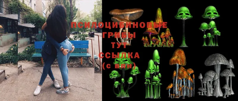 mega ONION  Вологда  Псилоцибиновые грибы Magic Shrooms 